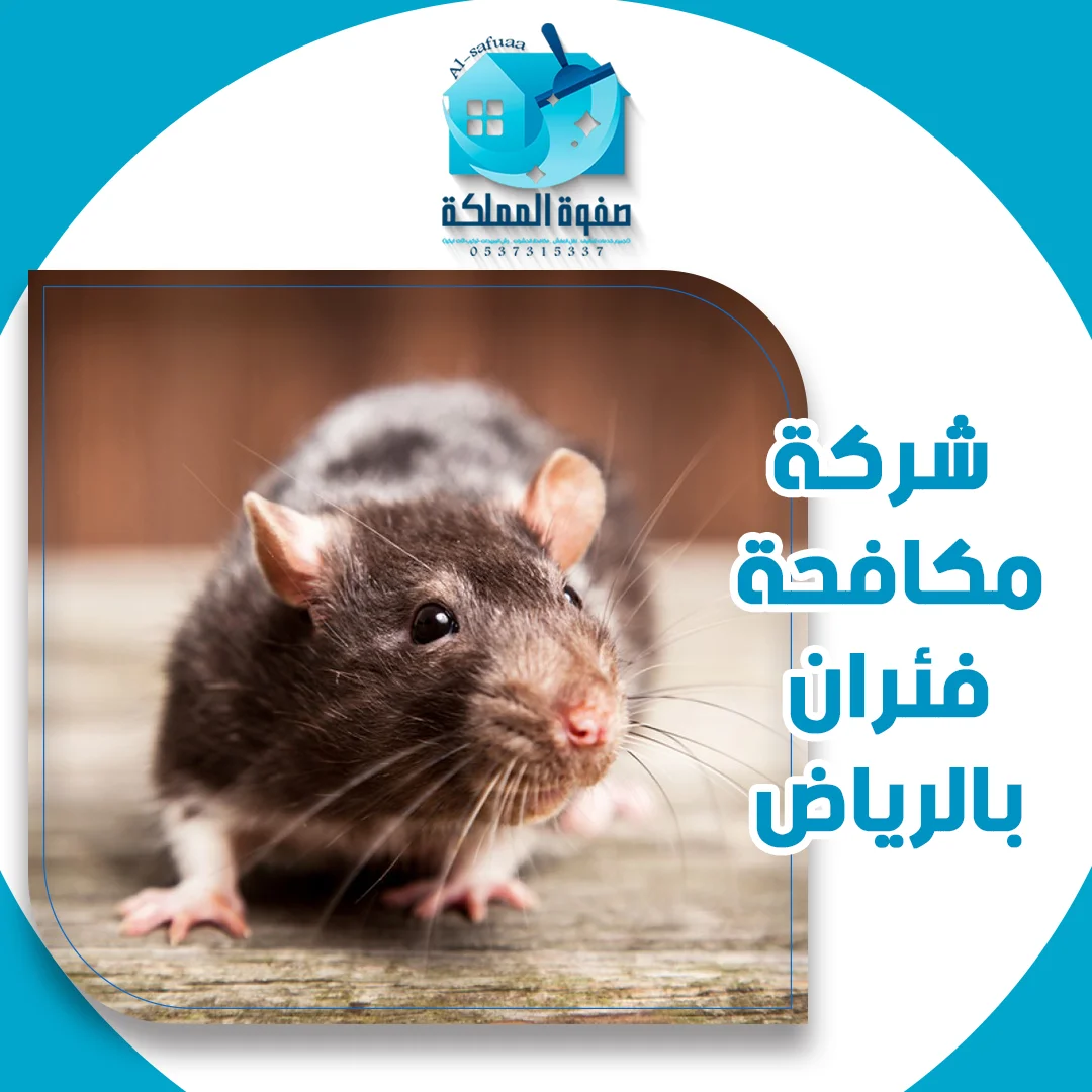 شركة مكافحة فئران بالرياض