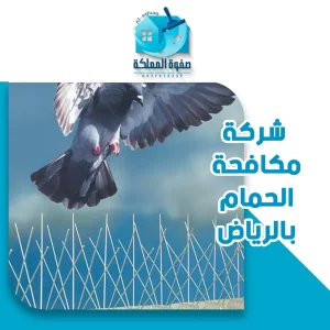 شركة مكافحة الحمام بالرياض