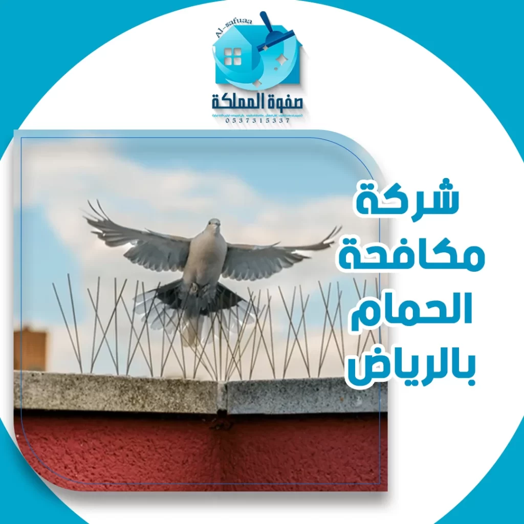 شركة مكافحة الحمام بالرياض