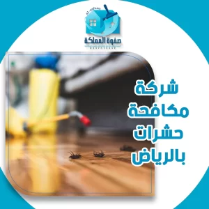 شركة مكافحة حشرات بالرياض