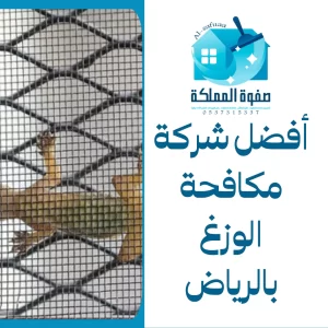أفضل شركة مكافحة الوزغ بالرياض