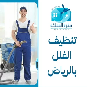 تنظيف الفلل بالرياض