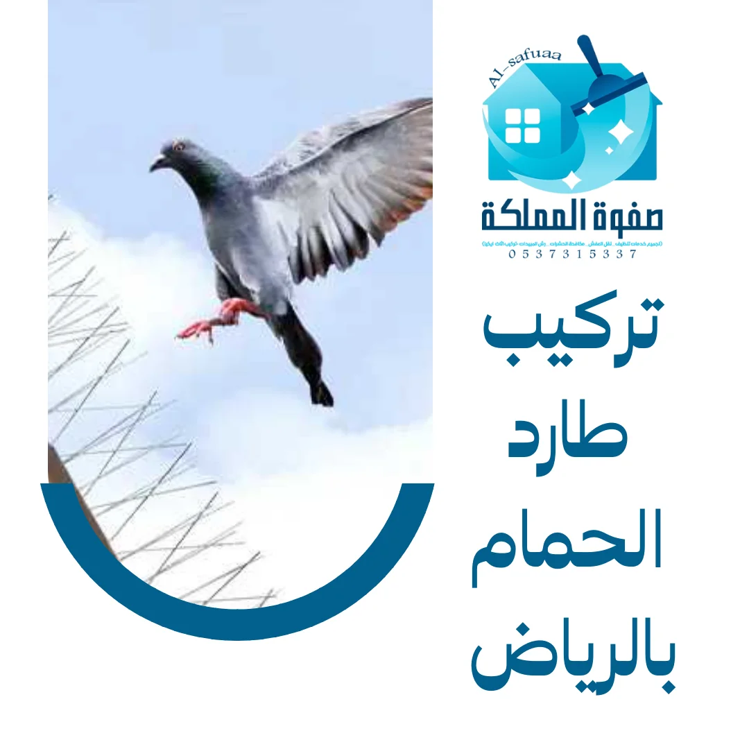 تركيب طارد الحمام بالرياض