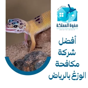 أفضل شركة مكافحة الوزغ بالرياض