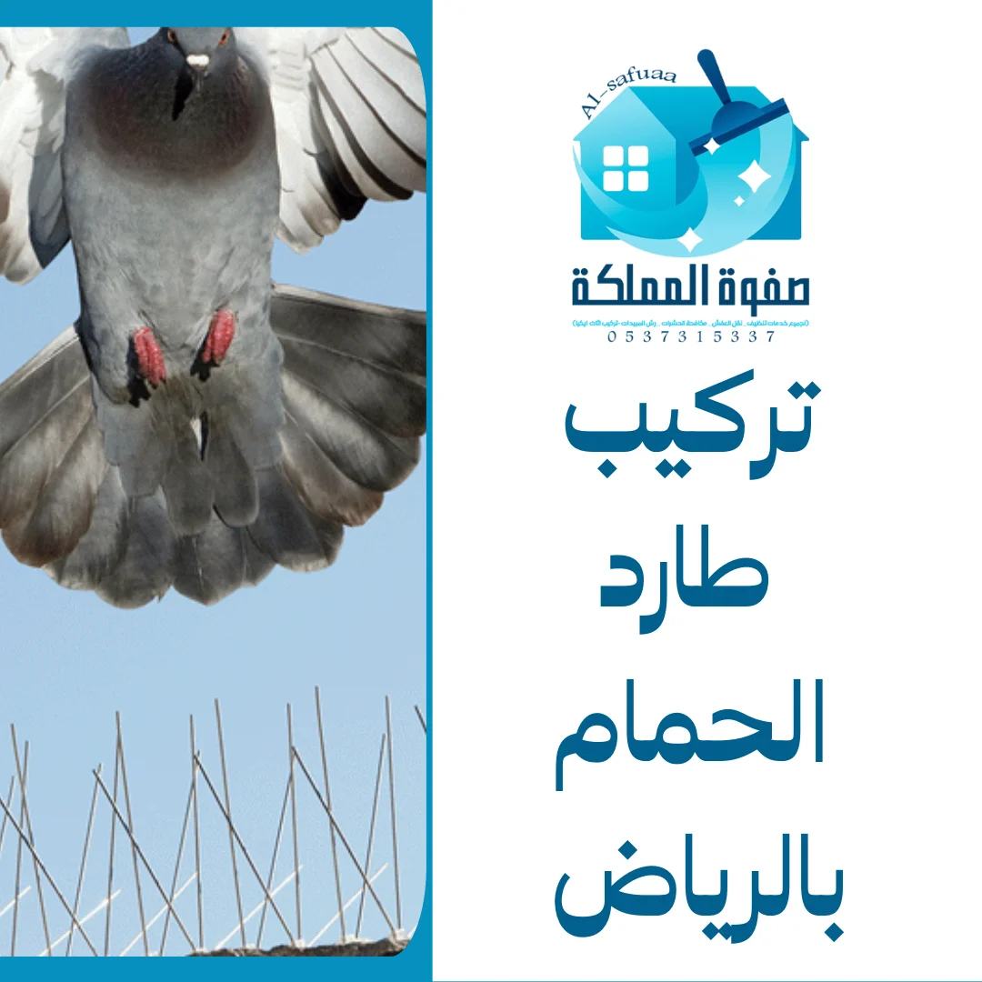 تركيب طارد الحمام بالرياض