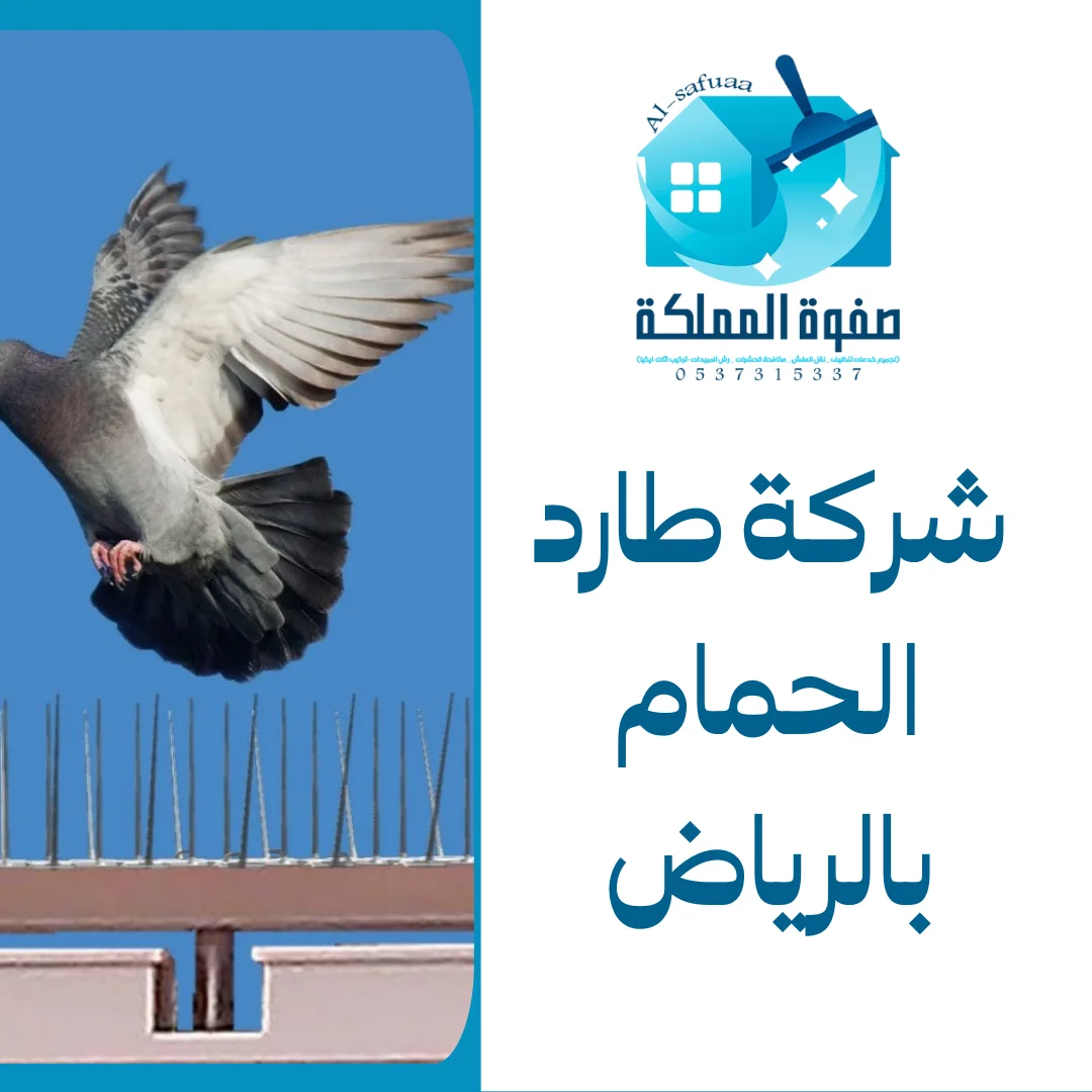 شركة طارد الحمام بالرياض